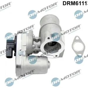 Venttiili, pakokaasun kierrätys Dr.Motor Automotive DRM61113 - Ford Mondeo, Jaguar X-Type - Niin kauan kuin tavaraa riittää