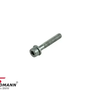 FILLISTER HEAD WITH WASHER M6X35-ZNNIV SI 07119906058 07 11 9 906 058 9906058 - Hyvin arvosteltu