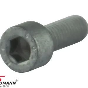 FILLISTER HEAD SCREW M6X18-10.9-ZNS3 07119906651 07 11 9 906 651 9906651 - Extra-alennus