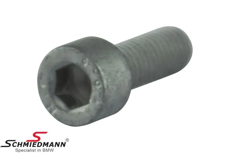FILLISTER HEAD SCREW M6X18-10.9-ZNS3 07119906651 07 11 9 906 651 9906651 - Extra-alennus